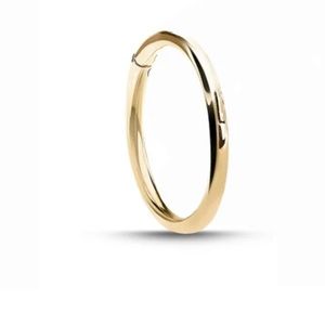 14K Solid Gold 8mm Hinged Clicker Hoop